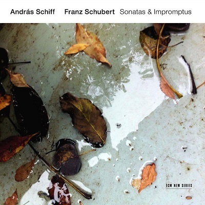 FRANZ SCHUBERT - Sonatas and Impromptus