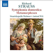 Richard Strauss - Symphonia Domestica - Metamorphosen
